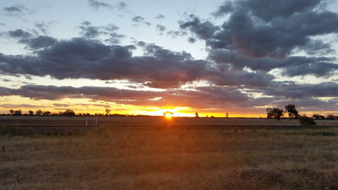 Whispering Pines Farm Stay - Accommodation Daintree 0