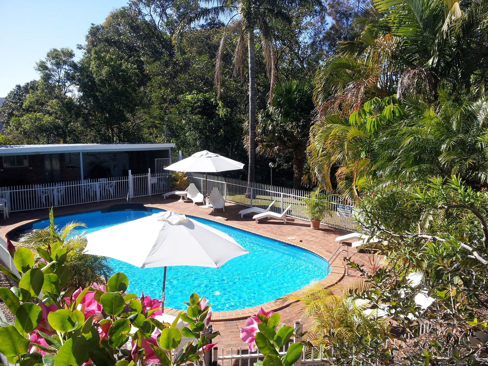 Lowanna NSW Accommodation Daintree