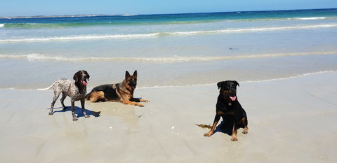 BIG4 Warrnambool Figtree Holiday Park - Accommodation Daintree 2