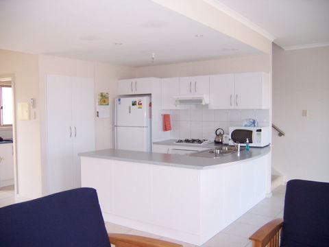 Christies Seahorse - Accommodation Daintree 2