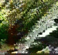 Aldgate Lodge Bed  Breakfast - Accommodation Daintree