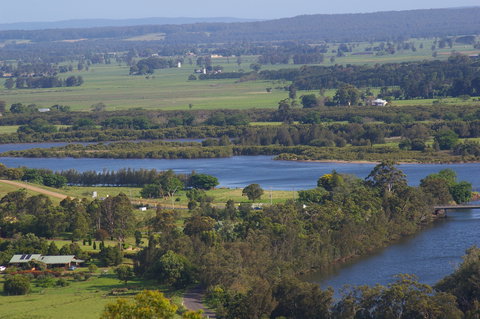 Back Forest Retreat - Accommodation Daintree 1