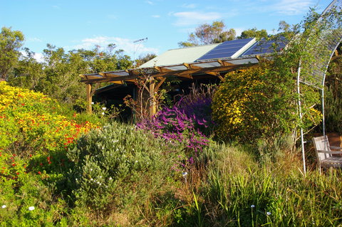 Back Forest Retreat - Accommodation Daintree 2