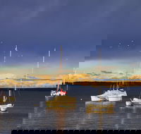 Chappies - Accommodation Daintree