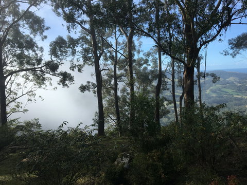 Escarpment - Accommodation Daintree 2