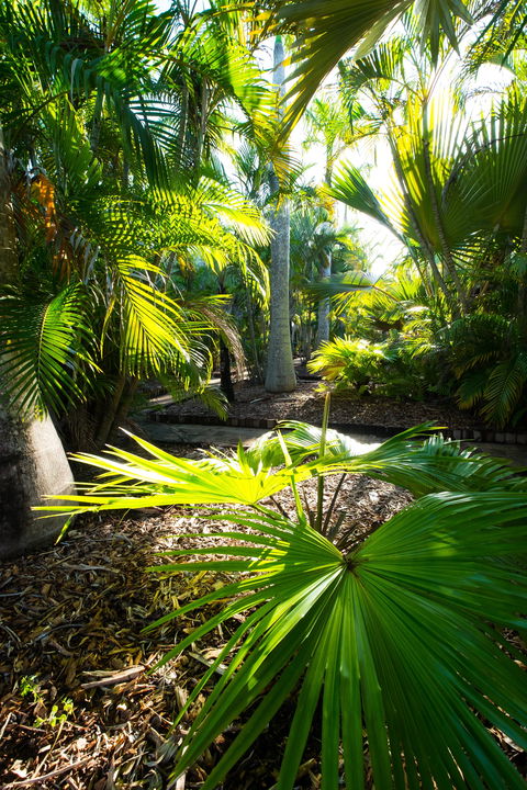 Gove Peninsula Motel - Accommodation Daintree 1