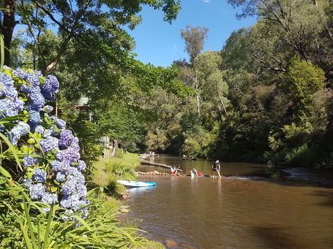 Jamieson Caravan Park - Accommodation Daintree 0