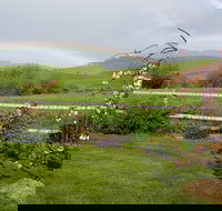 Platypus Cottage - Accommodation Daintree