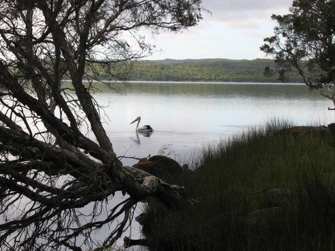 The Cove - Accommodation Daintree 0