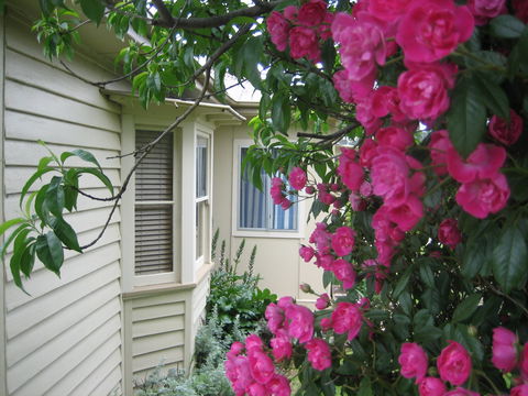 Valley Views Bed And Breakfast - Accommodation Daintree 0