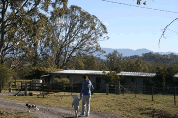 Bumblebrook Farm Motel - Accommodation Daintree