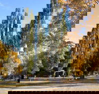 Omeo Caravan Park - Accommodation Daintree