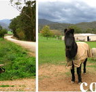 Emerald Park Holiday Farm - Accommodation Daintree