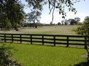 Ardwick Homestead - Accommodation Daintree 2