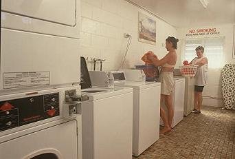 River Retreat Caravan Park - Accommodation Daintree 2