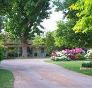 Aarinda Holiday Apartments - Accommodation Daintree