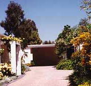 Green Patch Accommodation - Accommodation Daintree