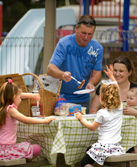 Eureka Stockade Caravan Park - Accommodation Daintree 3