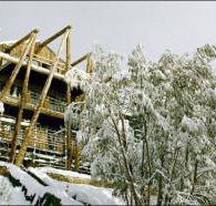 Silverski - Accommodation Daintree