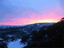 Snow Ski Apartments - Accommodation Daintree 3