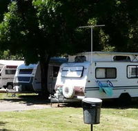 Avondel Caravan Park - Accommodation Daintree