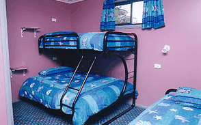 Homelea Accommodation Apartments - Accommodation Daintree 0