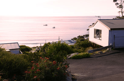 bay of Fires Character Cottage - Accommodation Daintree