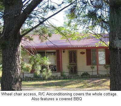 Glen Eden Cottages - Accommodation Daintree 1