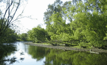 Ribbonwood Cottages - Accommodation Daintree