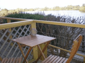 Best Western Taree Motor Inn - Accommodation Daintree