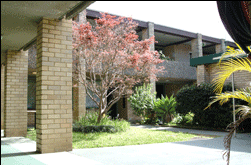 Amg Ryde Sydney - Accommodation Daintree 0