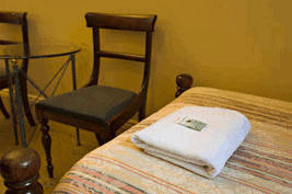 Pyrmont NSW Accommodation Daintree