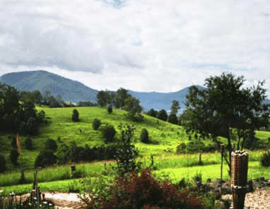 Nimbin Rox YHA - Accommodation Daintree 1