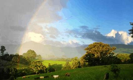 Nimbin Rox YHA - Accommodation Daintree 3