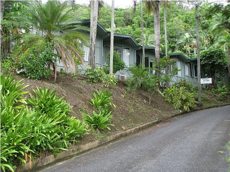 Tree Tops Lodge Cairns - Accommodation Daintree 1