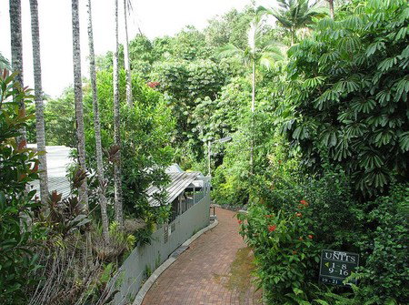 Tree Tops Lodge Cairns - Accommodation Daintree 2