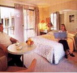 Sydney Palm Court Motor Inn - Accommodation Daintree