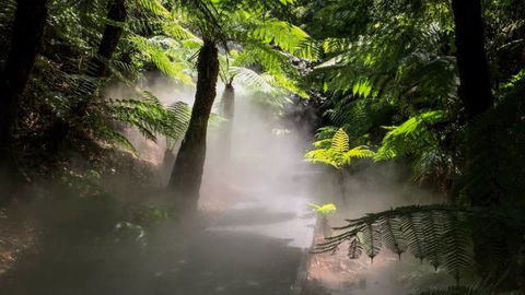 Australian National Botanic Gardens - Accommodation Daintree 4