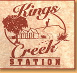 Kings Creek Station - Accommodation Daintree