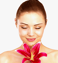 Radiant Body Bar - Accommodation Daintree 0