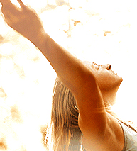 Radiant Body Bar - Accommodation Daintree 1