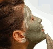 Travancore VIC Accommodation Daintree