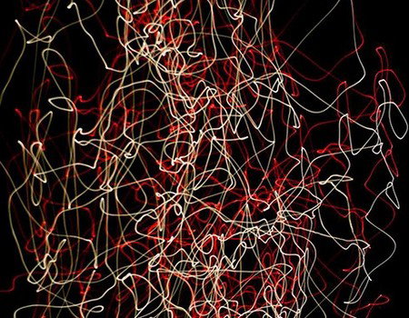 Eleven40 Gallery - Accommodation Daintree 1