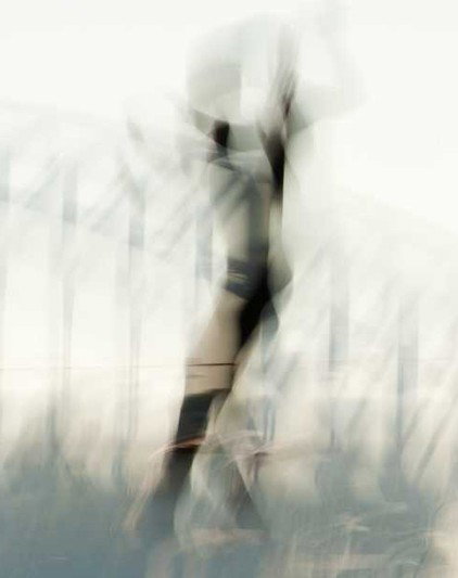 Eleven40 Gallery - Accommodation Daintree 2