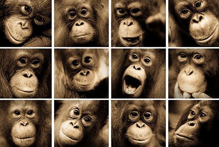 Eleven40 Gallery - Accommodation Daintree 3