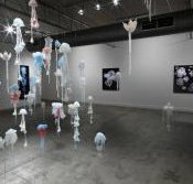 Nellie Castan Gallery - Accommodation Daintree