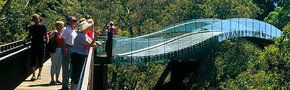 Kings Park Botanic Gardens - Accommodation Daintree 1