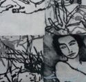 PG Printmaker Gallery - Accommodation Daintree