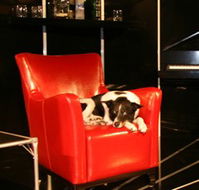 Old Fitzroy Theatre - Accommodation Daintree