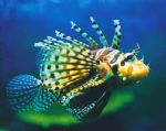  Accommodation Daintree